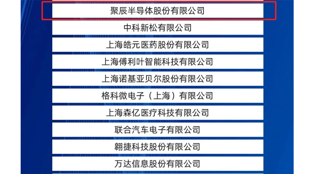 聚辰股份入選2024上海硬核科技企業(yè)TOP100榜單